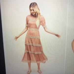 Rahicali Asos lace panel tea Dress Sz XS